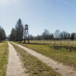 IMG_4885-HDR