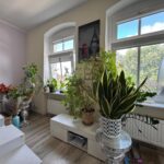 Zdjęcie WhatsApp 2025-08-06 o 13.00.03_0aa7a1b3