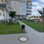 Zdjęcie WhatsApp 2025-08-06 o 21.58.34_a41613d5