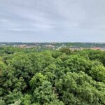 Zdjęcie WhatsApp 2025-08-08 o 13.24.16_a85f5696