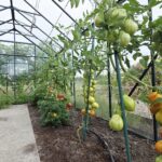 Zdjęcie WhatsApp 2025-08-21 o 10.32.47_4535f6e5