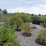 Zdjęcie WhatsApp 2025-08-21 o 10.32.55_cab3848a