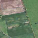 Zrzut ekranu 2025-11-07 084554