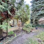 DJI_20251118_134705_847