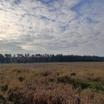IMG_20251127_110529