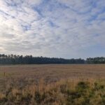 IMG_20251127_110545