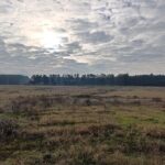 IMG_20251127_110839