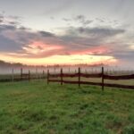 WhatsApp Image 2025-12-18 at 14.08.43