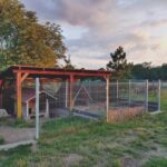 WhatsApp Image 2025-12-18 at 14.08.43 (2)