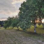 WhatsApp Image 2025-12-18 at 14.08.44