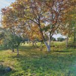 WhatsApp Image 2025-12-18 at 14.08.44 (3)