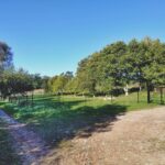 WhatsApp Image 2025-12-18 at 14.08.44 (4)