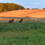 WhatsApp Image 2025-12-18 at 14.08.44 (6)