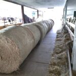 WhatsApp Image 2025-12-18 at 14.08.45