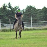 WhatsApp Image 2025-12-18 at 14.08.57