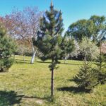 WhatsApp Image 2025-12-18 at 14.08.59 (1)