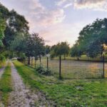 WhatsApp Image 2025-12-18 at 14.09.09 (2)