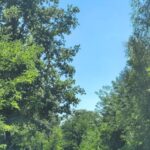 Screenshot_20260120-211902_Gallery