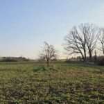 WhatsApp Image 2026-03-24 at 09.48.04