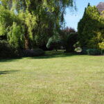 DCIM100MEDIADJI_0637.JPG