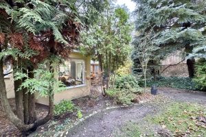 DJI_20251118_134705_847