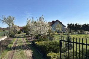 DJI_20260421_101725_962