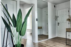 IMG_1912_1913_1914_easyHDR-BASIC-2