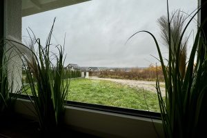 IMG_3326