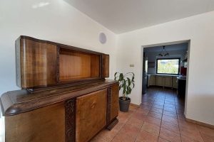 IMG_3565