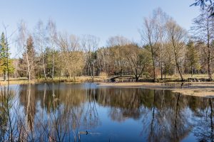 IMG_4879-HDR