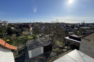IMG_5530