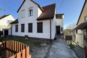 IMG_5560