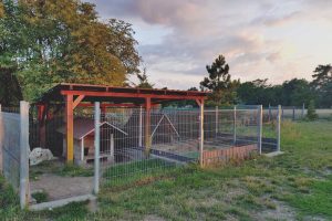 WhatsApp Image 2025-12-18 at 14.08.43 (2)