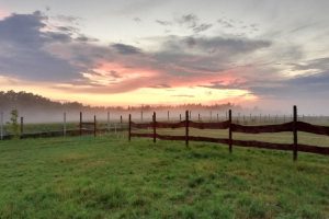 WhatsApp Image 2025-12-18 at 14.08.43