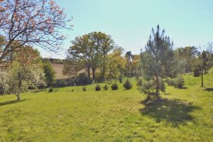 WhatsApp Image 2025-12-18 at 14.08.44 (1)