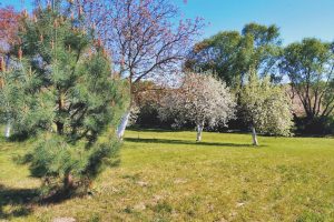 WhatsApp Image 2025-12-18 at 14.08.44 (2)