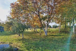 WhatsApp Image 2025-12-18 at 14.08.44 (3)