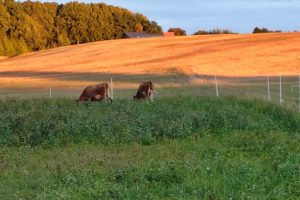 WhatsApp Image 2025-12-18 at 14.08.44 (6)