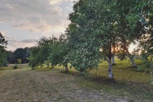 WhatsApp Image 2025-12-18 at 14.08.44