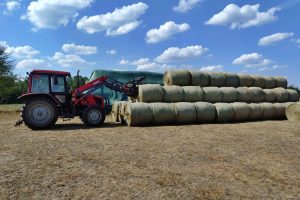 WhatsApp Image 2025-12-18 at 14.08.45 (2)