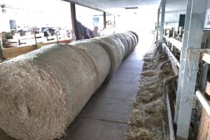 WhatsApp Image 2025-12-18 at 14.08.45