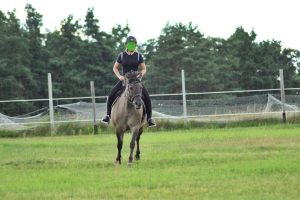 WhatsApp Image 2025-12-18 at 14.08.57