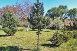 WhatsApp Image 2025-12-18 at 14.08.59 (1)