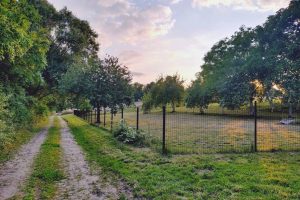 WhatsApp Image 2025-12-18 at 14.09.09 (2)