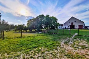 WhatsApp Image 2025-12-18 at 14.09.17