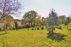 WhatsApp Image 2025-12-18 at 14.09.171