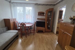 WhatsApp Image 2026-02-04 at 11.55.55 (3)