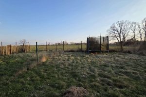 WhatsApp Image 2026-03-24 at 09.48.04 (1)