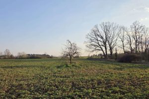 WhatsApp Image 2026-03-24 at 09.48.04