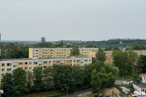 Zdjęcie WhatsApp 2025-06-11 o 15.37.15_42ddba24